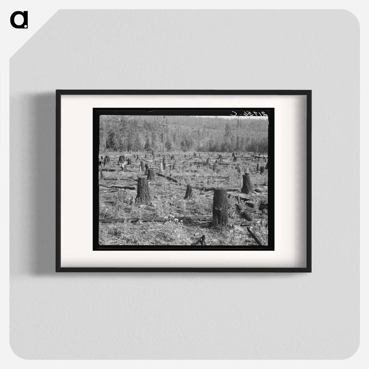 Uncleared Land on Farm - Dorothea Lange Poster.