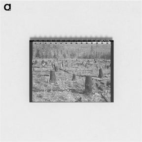 アートメモ帳-Uncleared Land on Farm - ドロテア ラング Memo.