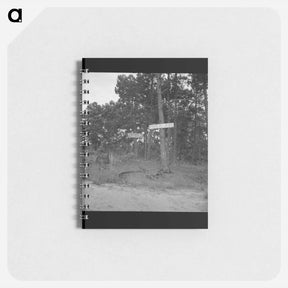アートメモ帳-Untitled photo - ドロテア ラング Memo.