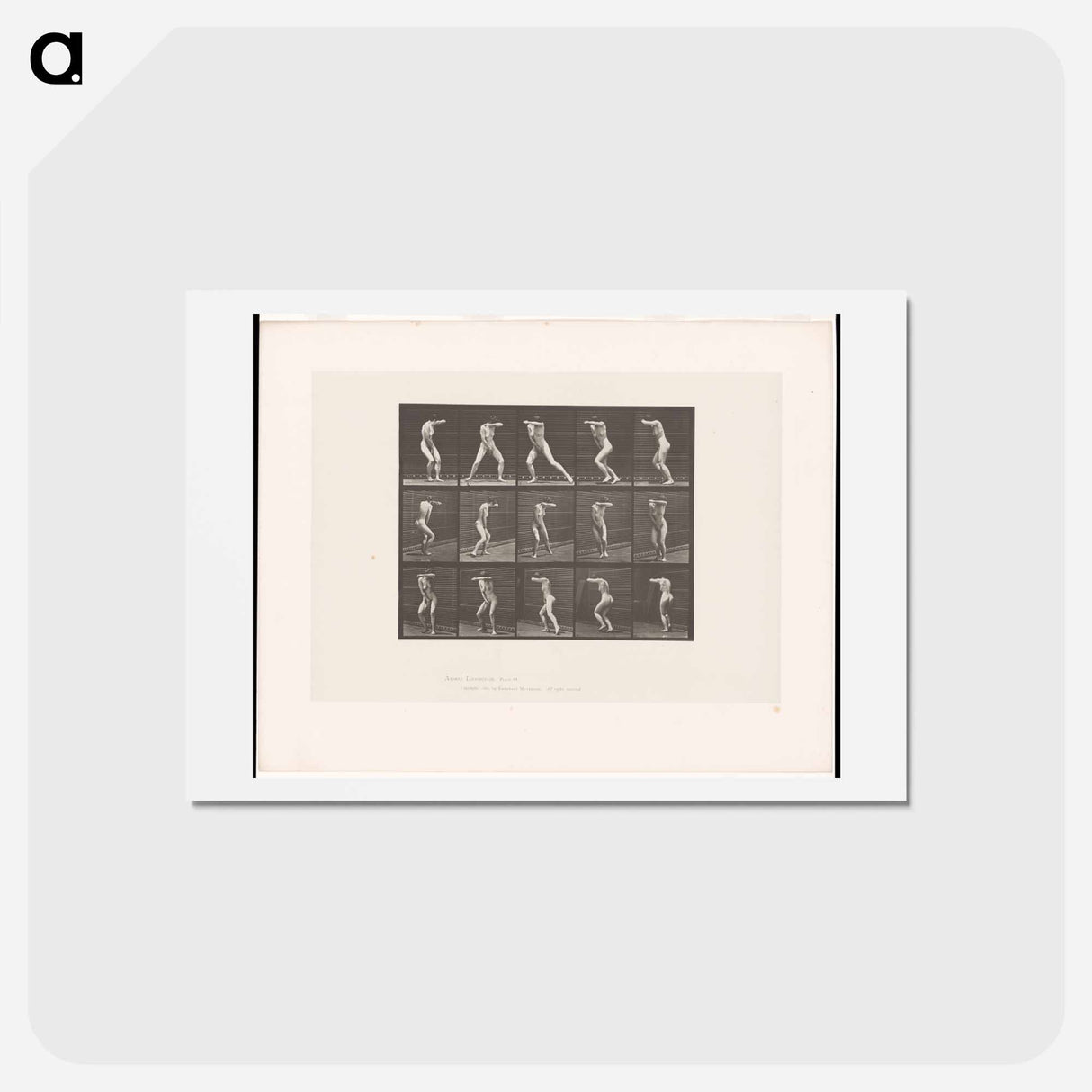 アートポストカード-Covered Face
 - エドワード マイブリッジ Postcard.
