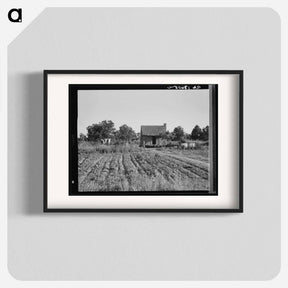 アートポスター-Home of Mississippi tenant farmer - ドロテア ラング Poster.