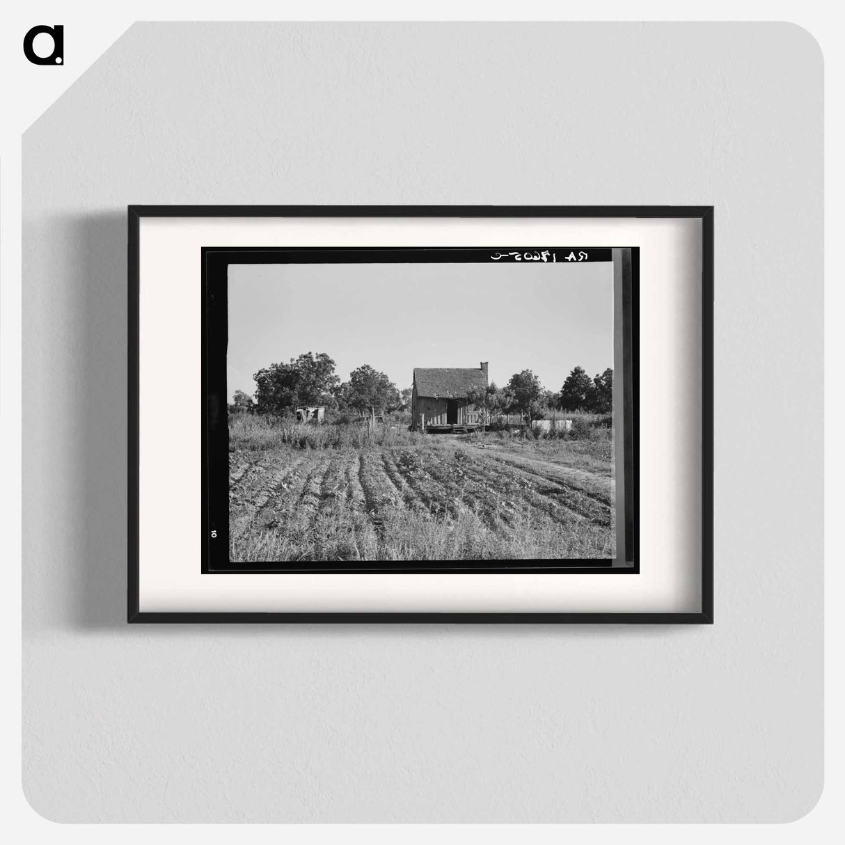 Home of Mississippi tenant farmer - Dorothea Lange Poster.