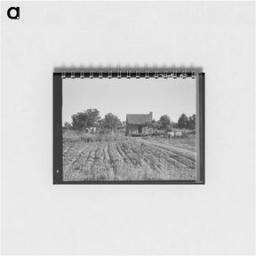 アートメモ帳-Home of Mississippi tenant farmer - ドロテア ラング Memo.