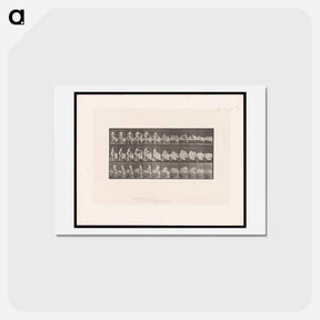 アートポストカード-Woman Entering Bed
 - エドワード マイブリッジ Postcard.