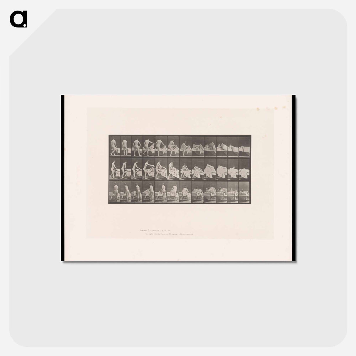 アートポストカード-Woman Entering Bed
 - エドワード マイブリッジ Postcard.