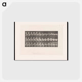 アートポストカード-Woman Entering Bed
 - エドワード マイブリッジ Postcard.