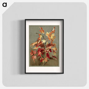 アートポスター-Autumn Leaves, No. 2 (Maple)
 - ボストン公共図書館 Poster.
