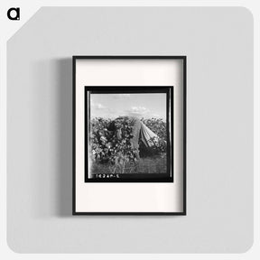 アートポスター-Untitled photo - ドロテア ラング Poster.