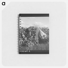 アートメモ帳-Untitled photo - ドロテア ラング Memo.