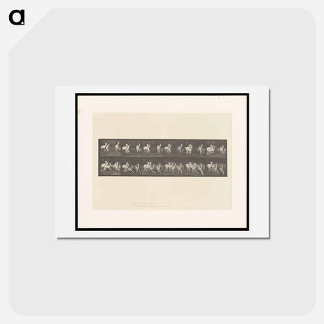 アートポストカード-Running Fallow Deer
 - エドワード マイブリッジ Postcard.