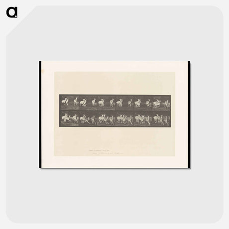 アートポストカード-Running Fallow Deer
 - エドワード マイブリッジ Postcard.