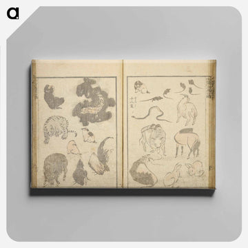 Random sketches by Hokusai volumes 1 to 11 - 葛飾 北斎 Canvas.