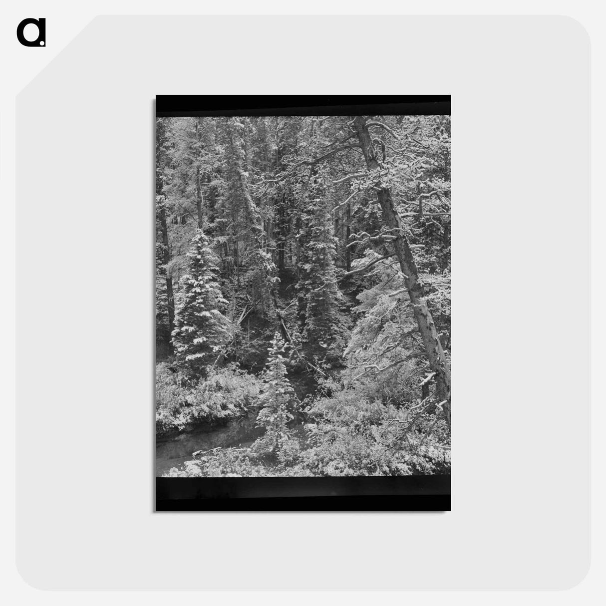 アートポストカード-First Snow, Montana
 - ラッセル リー Postcard.