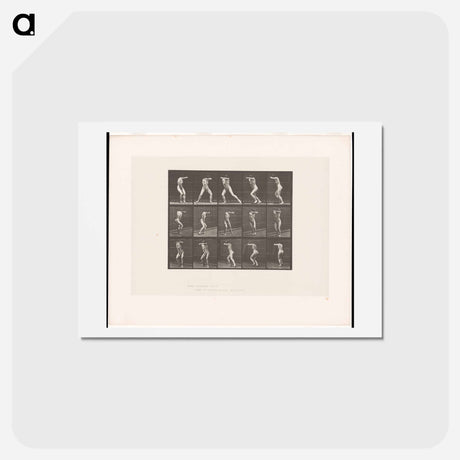 アートポストカード-Covered Face
 - エドワード マイブリッジ Postcard.
