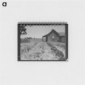 アートメモ帳-House of ex-tenant farmer now on relief - ドロテア ラング Memo.