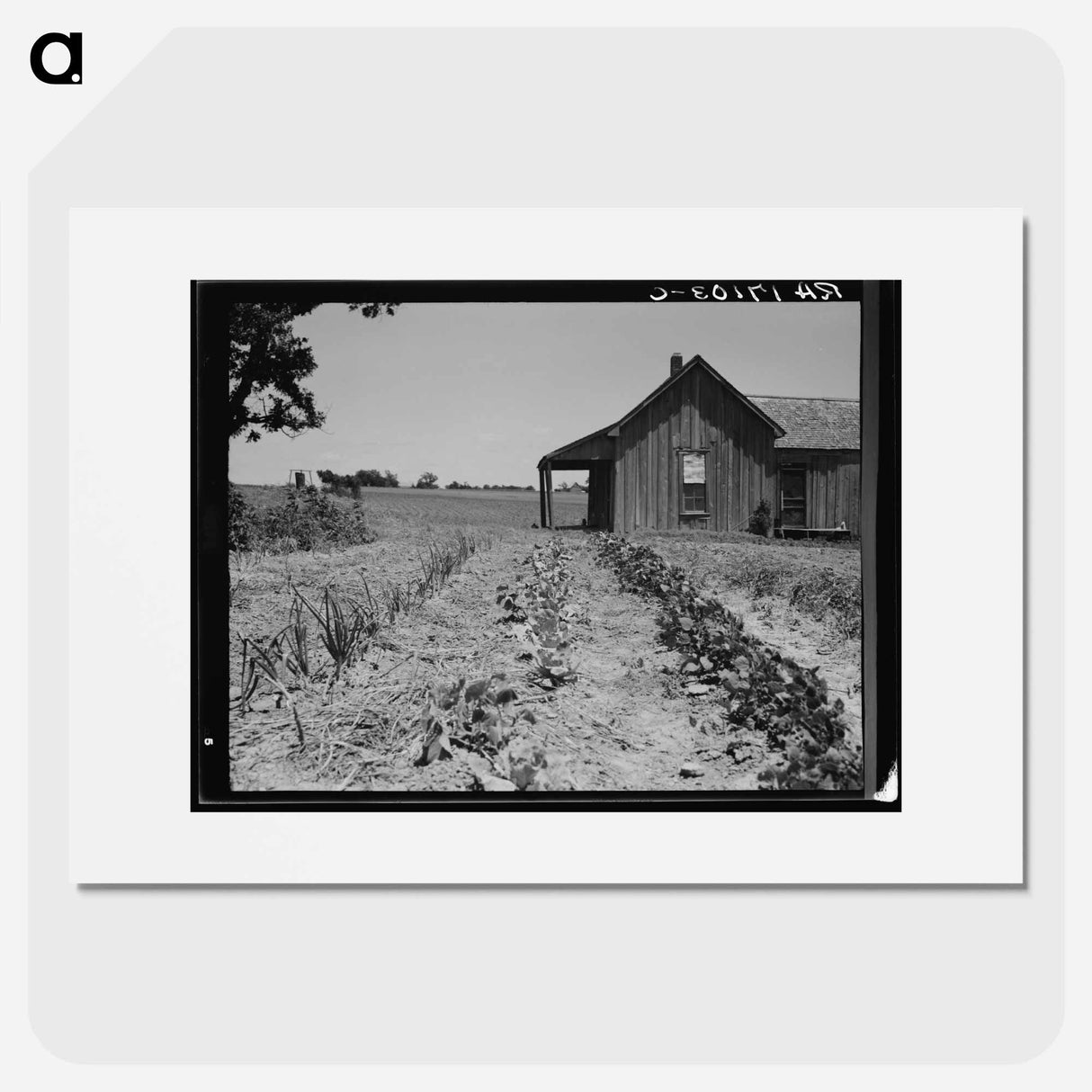 House of ex-tenant farmer now on relief - Dorothea Lange Poster.