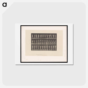 アートポストカード-Naked Woman Walking
 - エドワード マイブリッジ Postcard.