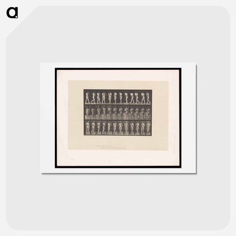 アートポストカード-Naked Woman Walking
 - エドワード マイブリッジ Postcard.
