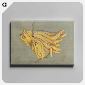 アートパネル-Buddha's Hand Citron, Busshukan - 葛飾 北斎 Canvas.