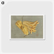 アートポストカード-Buddha's Hand Citron, Busshukan - 葛飾 北斎 Postcard.