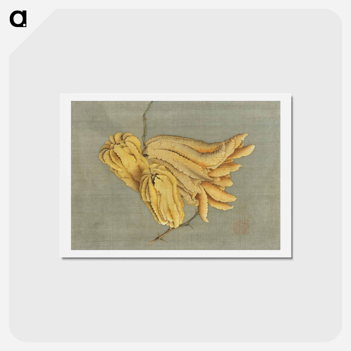 アートポストカード-Buddha's Hand Citron, Busshukan - 葛飾 北斎 Postcard.