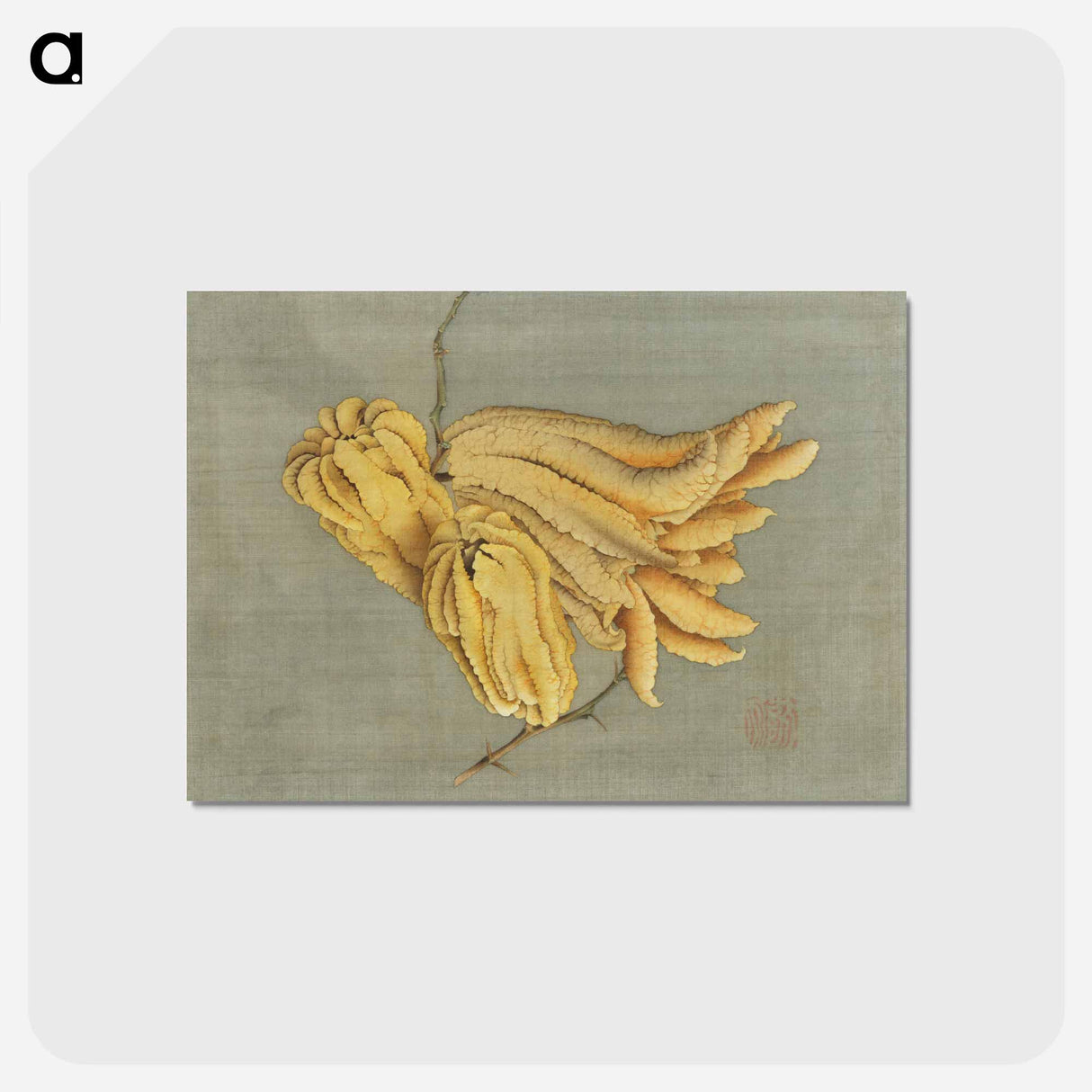 アートポストカード-Buddha's Hand Citron, Busshukan - 葛飾 北斎 Postcard.