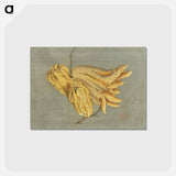 アートポストカード-Buddha's Hand Citron, Busshukan - 葛飾 北斎 Postcard.