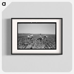 アートポスター-Sugar Beet Workers
 - ラッセル リー Poster.