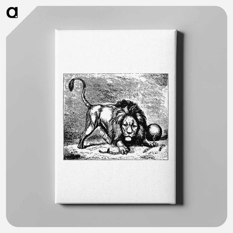 アートパネル-Lion from Brussels Through The Ages, Third Volume
 - 大英図書館 Canvas.