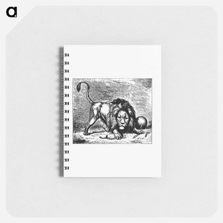 アートメモ帳-Lion from Brussels Through The Ages, Third Volume
 - 大英図書館 Memo.
