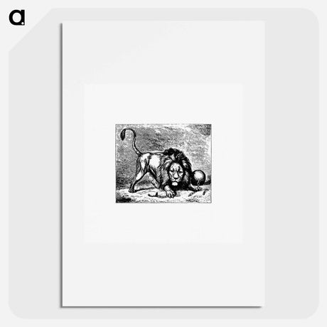 アートポスター-Lion from Brussels Through The Ages, Third Volume
 - 大英図書館 Poster.