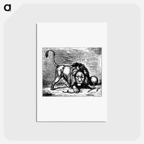 アートポストカード-Lion from Brussels Through The Ages, Third Volume
 - 大英図書館 Postcard.