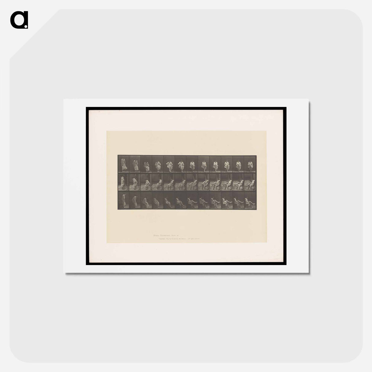 アートポストカード-Woman Putting on Stocking
 - エドワード マイブリッジ Postcard.