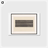 アートポストカード-Woman Putting on Stocking
 - エドワード マイブリッジ Postcard.
