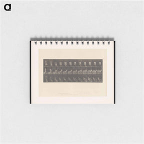 アートメモ帳-Woman Putting on Stocking
 - エドワード マイブリッジ Memo.