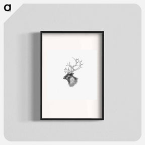 アートポスター-Elk from Yachting in the Arctic Seas
 - 大英図書館 Poster.