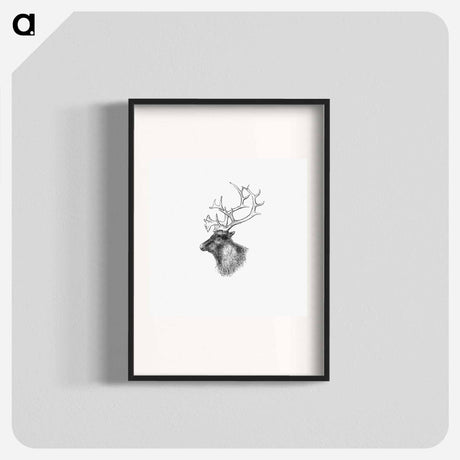アートポスター-Elk from Yachting in the Arctic Seas
 - 大英図書館 Poster.