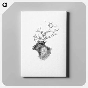 アートパネル-Elk from Yachting in the Arctic Seas
 - 大英図書館 Canvas.