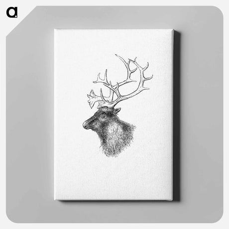 アートパネル-Elk from Yachting in the Arctic Seas
 - 大英図書館 Canvas.