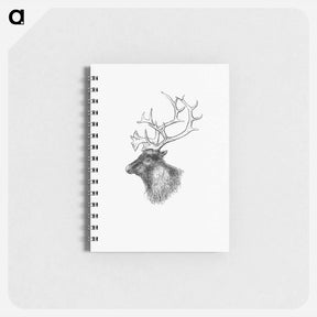 アートメモ帳-Elk from Yachting in the Arctic Seas
 - 大英図書館 Memo.