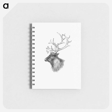 アートメモ帳-Elk from Yachting in the Arctic Seas
 - 大英図書館 Memo.