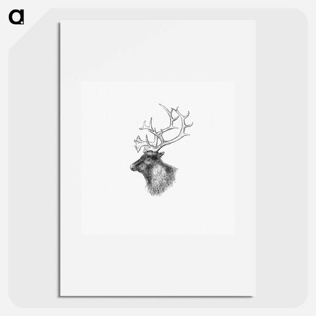 アートポスター-Elk from Yachting in the Arctic Seas
 - 大英図書館 Poster.