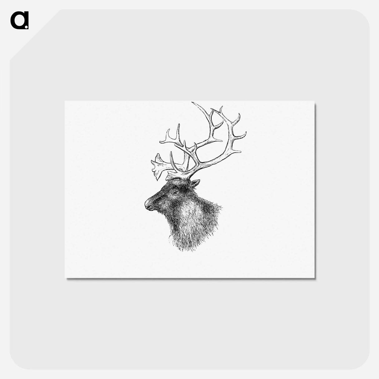 アートポストカード-Elk from Yachting in the Arctic Seas
 - 大英図書館 Postcard.