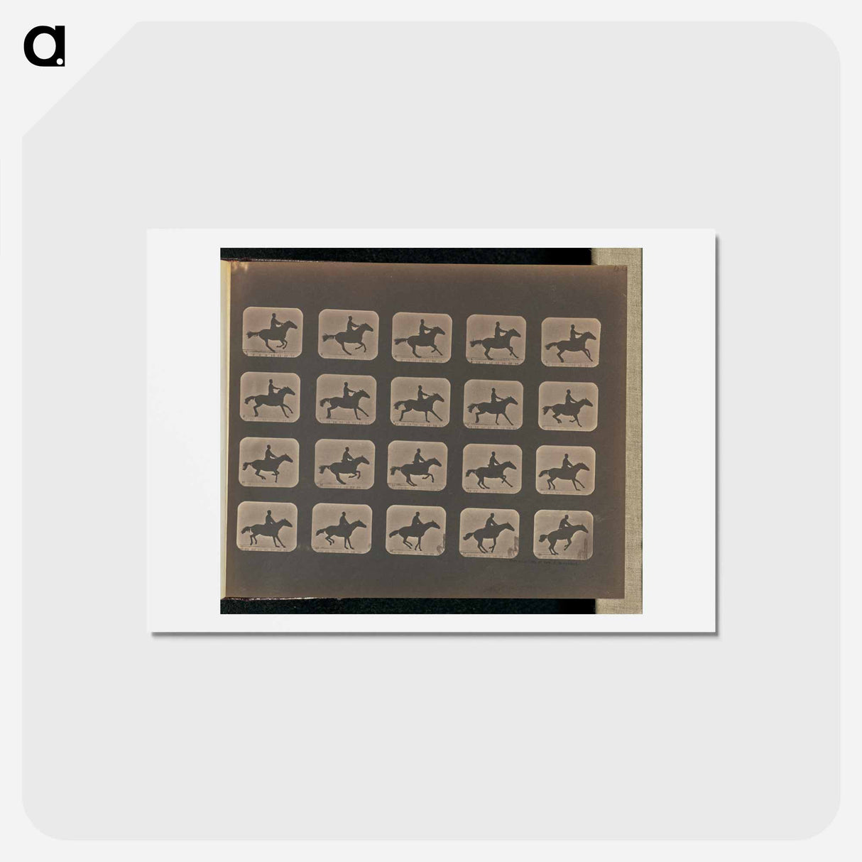 アートポストカード-Leaping
 - エドワード マイブリッジ Postcard.