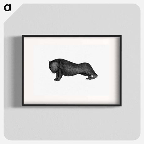 アートポスター-Wombat from An Account of the English Colony in New South Wales
 - 大英図書館 Poster.