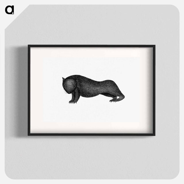 アートポスター-Wombat from An Account of the English Colony in New South Wales
 - 大英図書館 Poster.