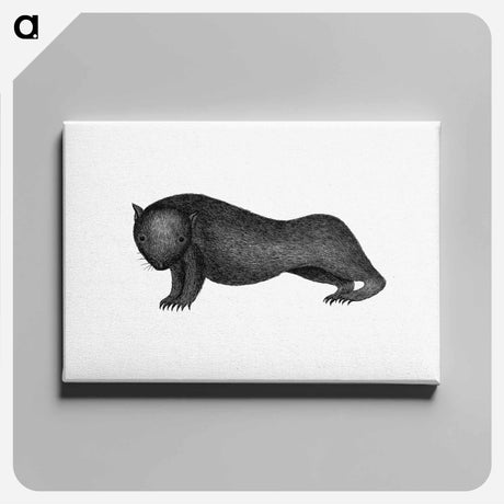 アートパネル-Wombat from An Account of the English Colony in New South Wales
 - 大英図書館 Canvas.