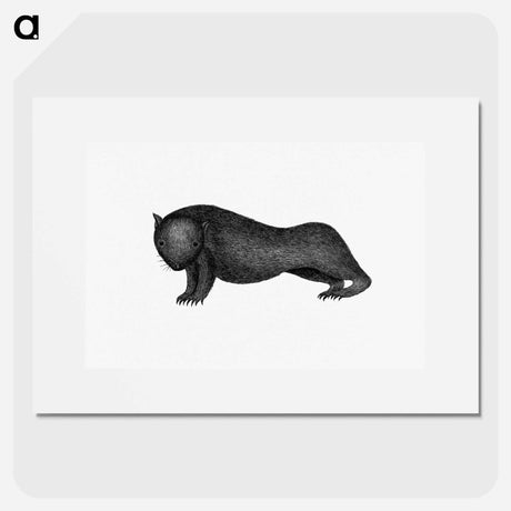 アートポスター-Wombat from An Account of the English Colony in New South Wales
 - 大英図書館 Poster.