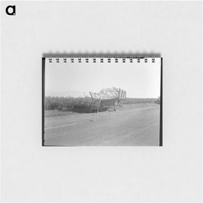 アートメモ帳-Partially loaded cotton wagon - ドロテア ラング Memo.