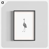 アートポスター-Emu from An Account of the English Colony in New South Wales
 - 大英図書館 Poster.